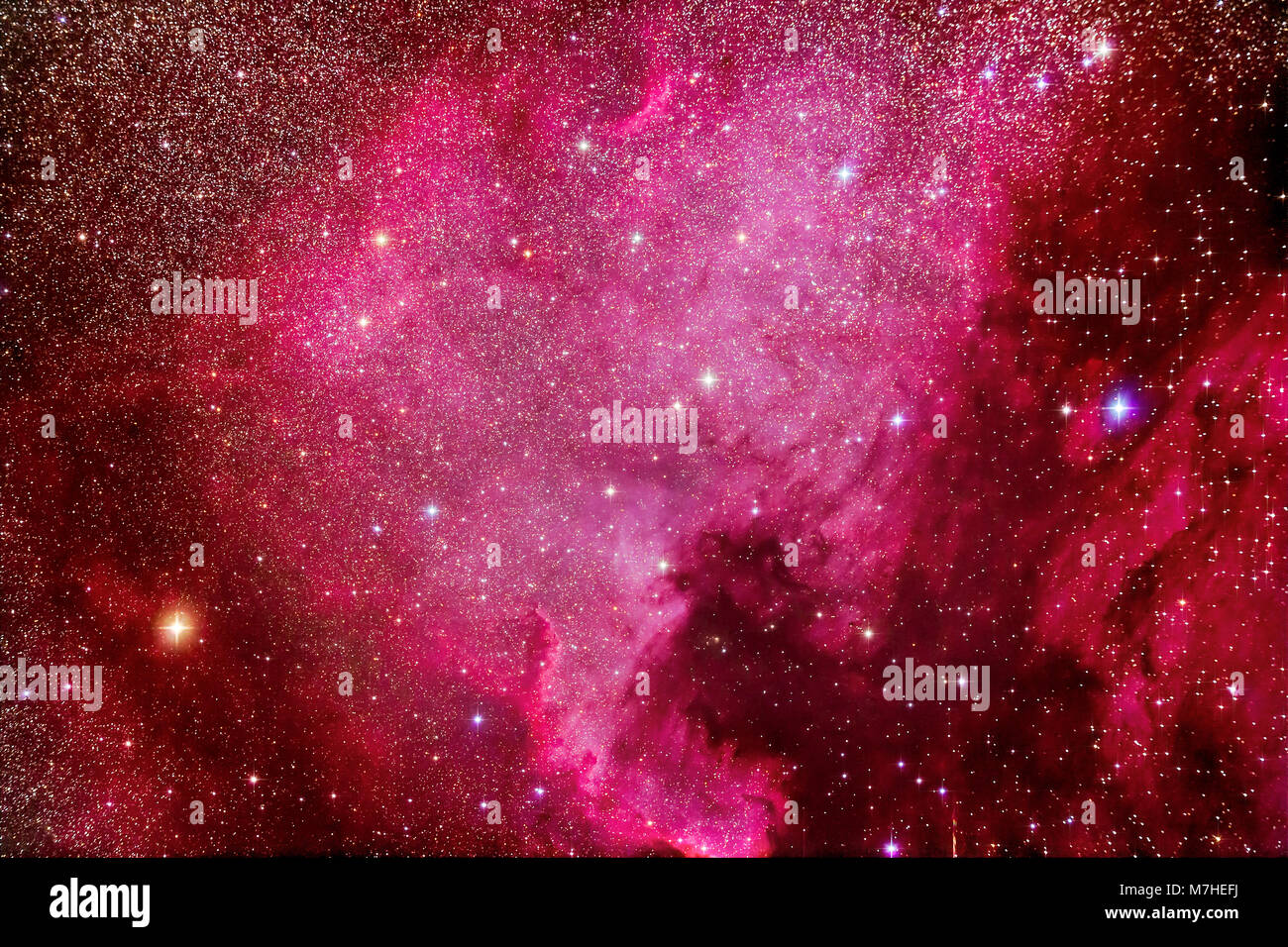 NGC7000, der Nordamerika-nebel im Sternbild Schwan. Stockfoto