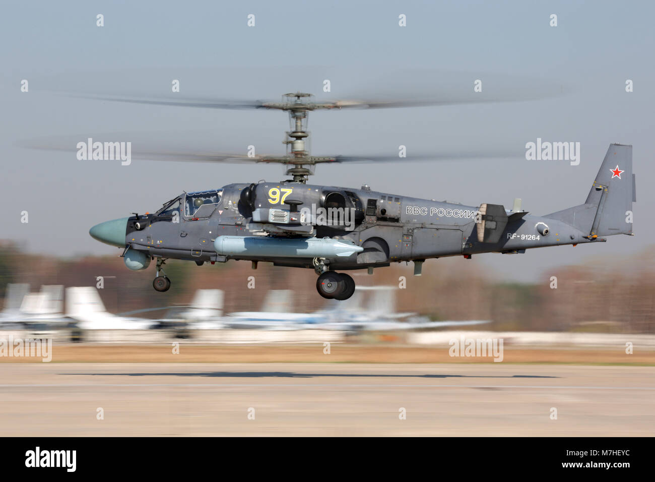 Ka-52 Alligator Kampfhubschrauber der russischen Luftwaffe Landung. Stockfoto