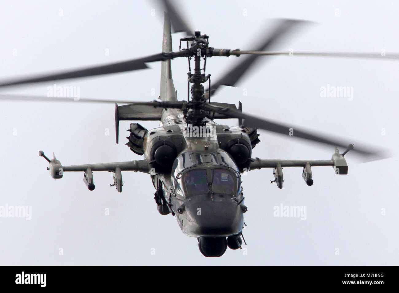 Ka-52 Alligator Kampfhubschrauber der russischen Luftwaffe. Stockfoto