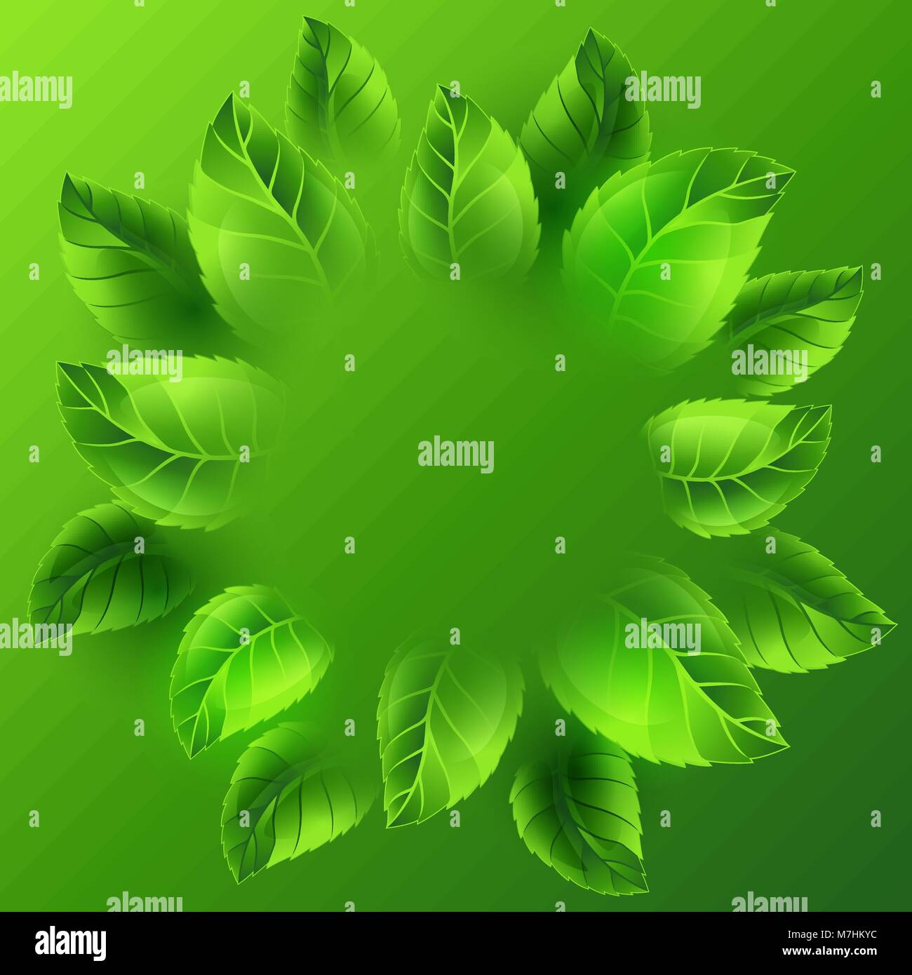 Feder Abbildung mit grünen Blättern. Karte Vorlage oder Ökologie Konzept der Floral Design für Verpackung, Grußkarten und Werbung Stock Vektor