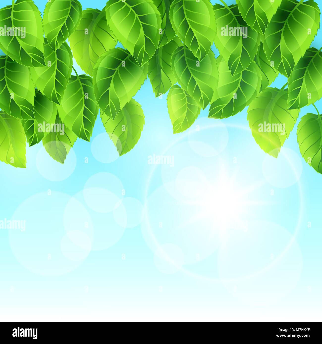 Feder Abbildung mit grünen Blättern auf Sky. Karte Vorlage floral Design für Verpackung, Grußkarten und Werbung Stock Vektor