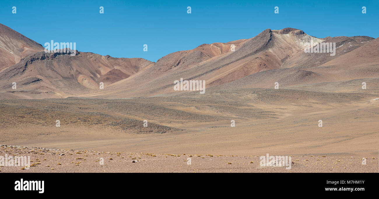 Panoramablick über die Salvador Dali Wüste in der Fauna der Anden Eduardo Avaroa National Reserve, Bolivien - Südamerika Stockfoto