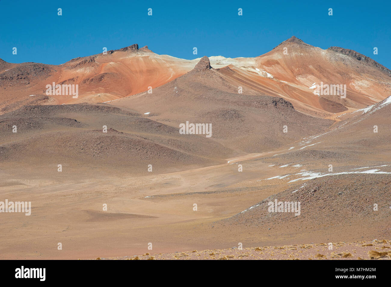 Panoramablick über die Salvador Dali Wüste in der Fauna der Anden Eduardo Avaroa National Reserve, Bolivien - Südamerika Stockfoto