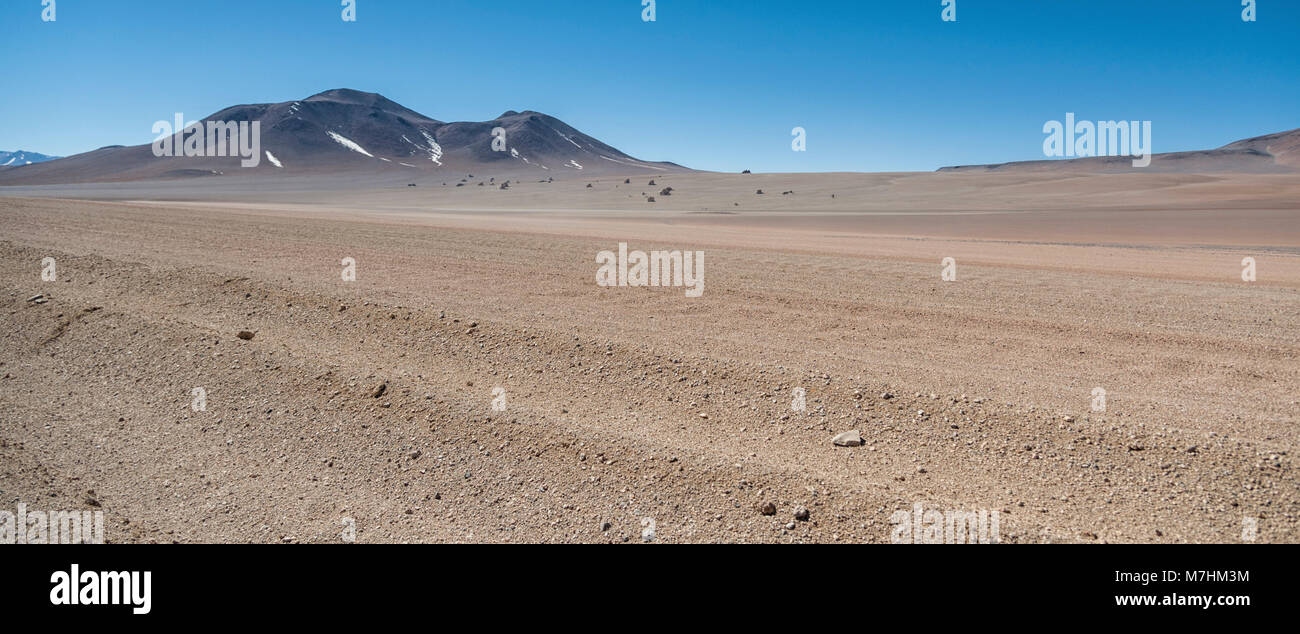 Panoramablick über die Salvador Dali Wüste in der Fauna der Anden Eduardo Avaroa National Reserve, Bolivien - Südamerika Stockfoto