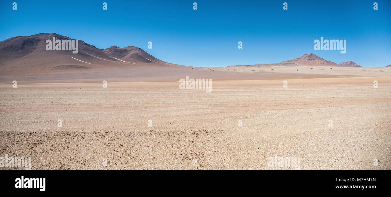 Panoramablick über die Salvador Dali Wüste in der Fauna der Anden Eduardo Avaroa National Reserve, Bolivien - Südamerika Stockfoto