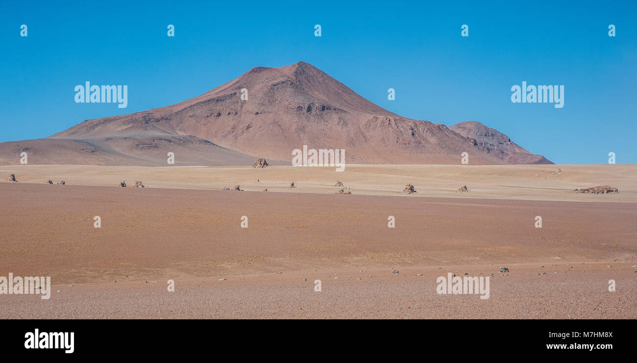 Panoramablick über die Salvador Dali Wüste in der Fauna der Anden Eduardo Avaroa National Reserve, Bolivien - Südamerika Stockfoto