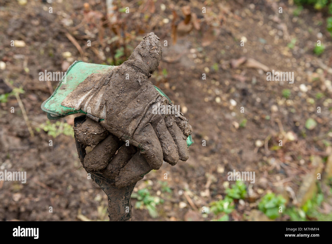 Folgen der Gartenarbeit in extrem schweren Lehm lehmiger Erde, schwere Gartenarbeit Gabel in Erde bedeckt und Schlammigen, schmutzige zusammengebacken in Schlamm Schlamm Stockfoto