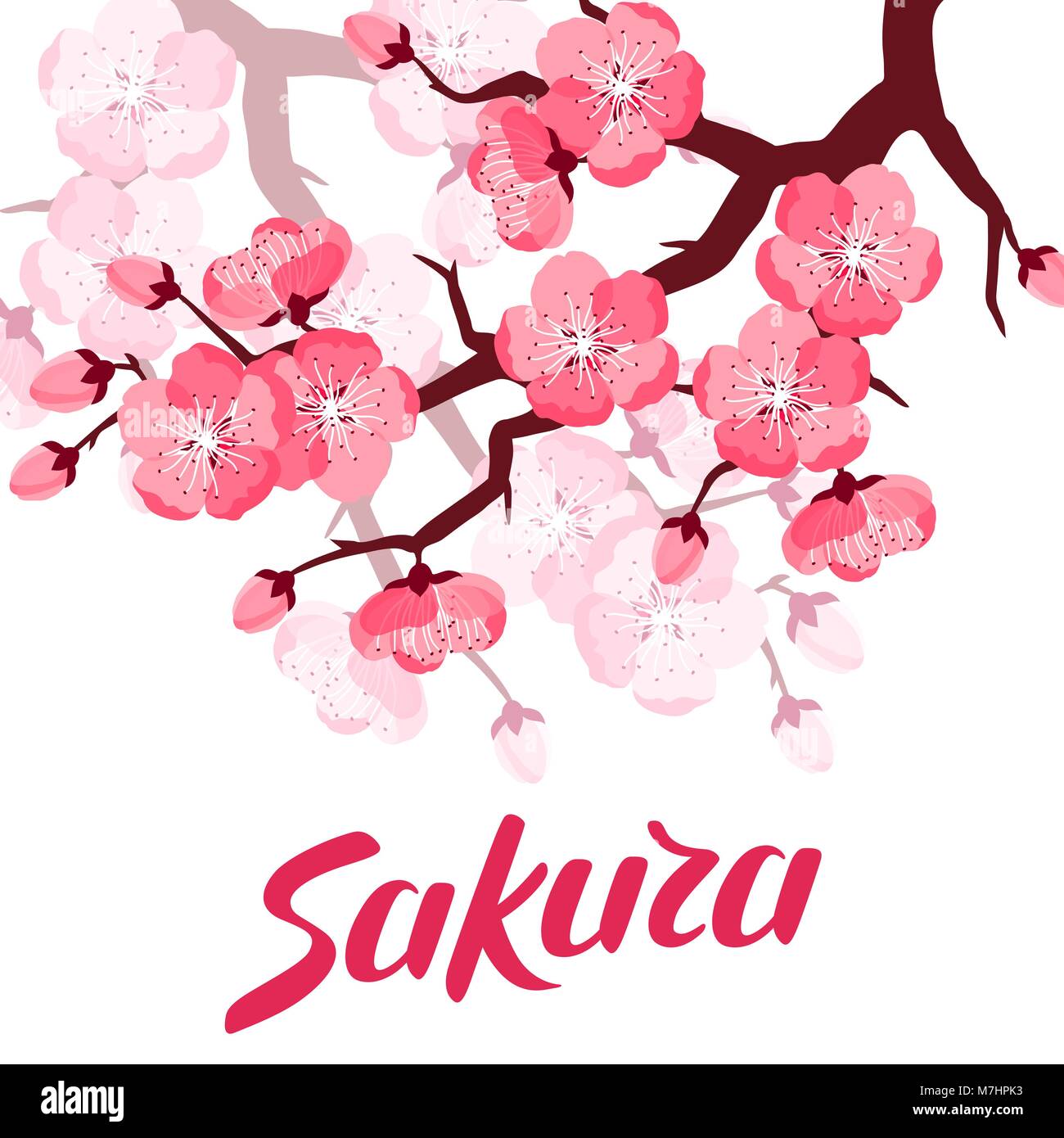 Japanische sakura Hintergrund mit stilisierten Blumen. Bild für  Einladungen, Grußkarten, Poster Stock-Vektorgrafik - Alamy