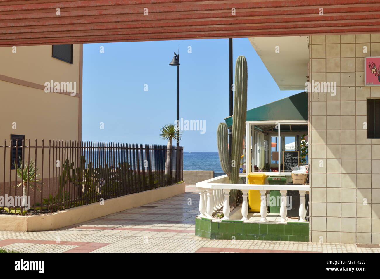 Gebäude in der Nähe von Meer und große Kaktus in Teneriffa Stockfoto