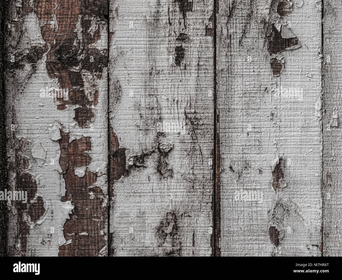 Struktur natürlicher Holzplanken mit Gecrackten weiße Farbe, abstrakten Hintergrund. Stockfoto