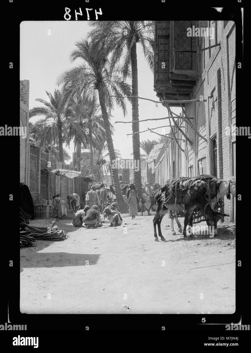 Irak. Kufa. (An den Ufern des Euphrat). Einst ein wichtiger Moslemischen (d. h., Muslim) Zentrum des Lernens. Street Scene mit malerischen Palmen in der Mitte der Fahrbahn LOC 16149 matpc. Stockfoto