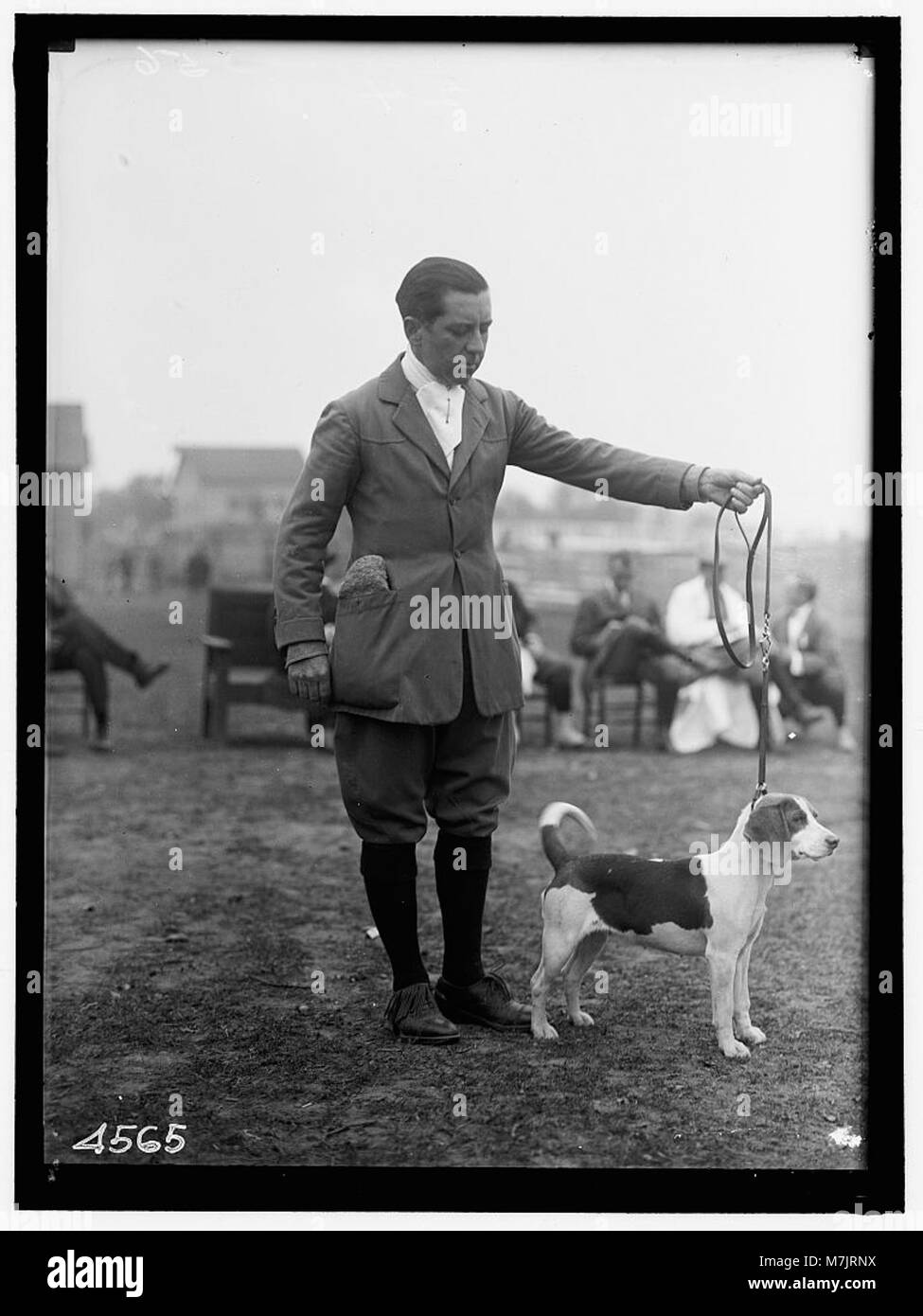 Ein Foto von Mitgliedern des National Beagle Club of America, aufgenommen bei einer Veranstaltung, bei der die Rasse und ihre Enthusiasten vorgestellt werden. Stockfoto