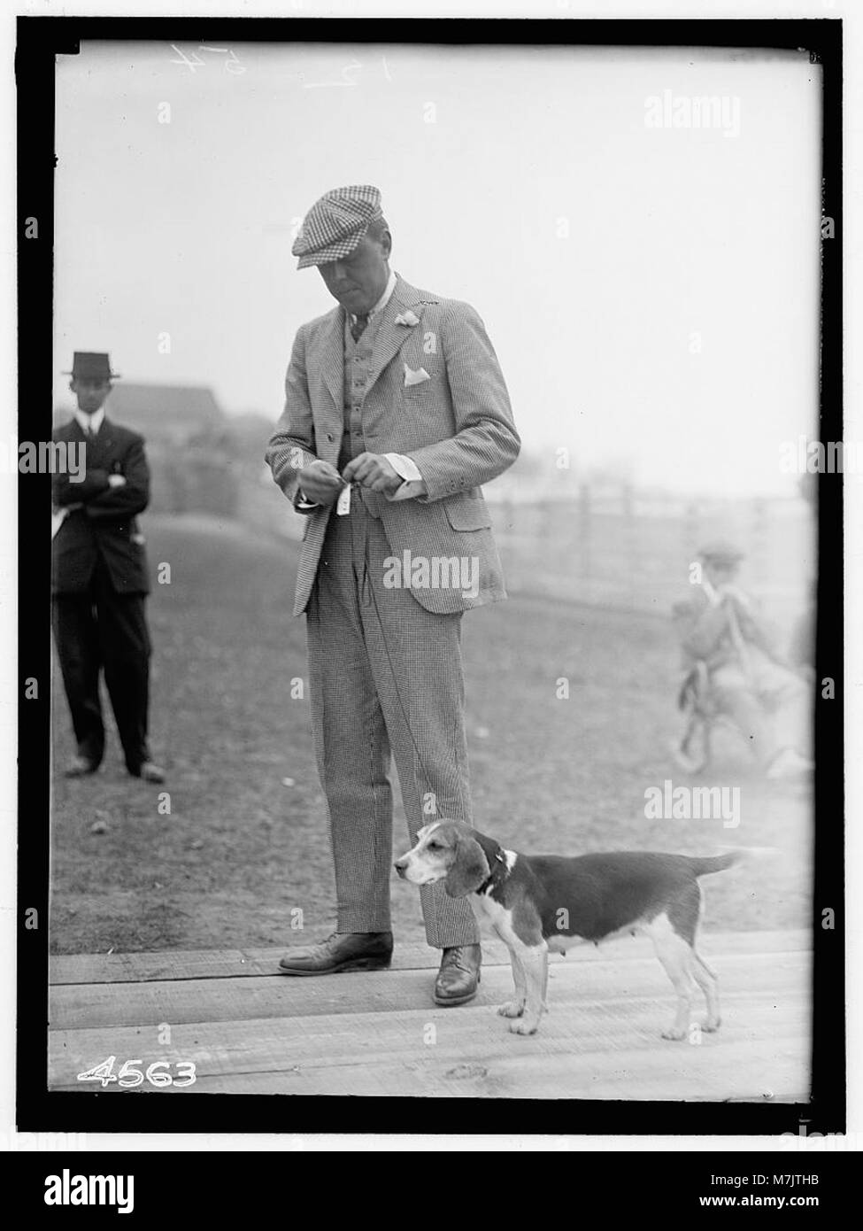 Ein Porträt oder historische Aufzeichnungen von D.C. Sands Jr. aus Middleburg, Virginia, in Verbindung mit dem National Beagle Club of America. Stockfoto