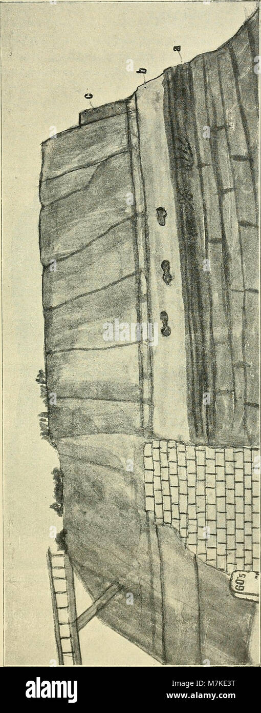 Ein wissenschaftliches Archiv aus dem Jahr 1911, das naturwissenschaftliche Forschungen in Böhmen dokumentiert und Studien über Flora, Fauna und Geologie umfasst, bietet wertvolle Einblicke in die Umgebung der Region zu Beginn des 20. Jahrhunderts. Stockfoto