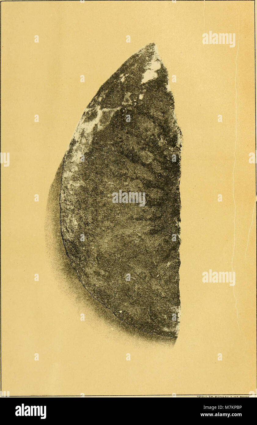 Boletín de la Comisión de México Geológica (1895) (20379751232) Stockfoto
