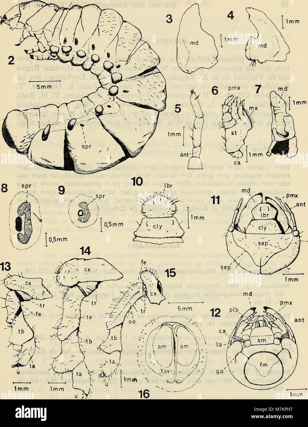 Boletin de la Sociedad de Biología de Concepción (1983) (20201427869) Stockfoto