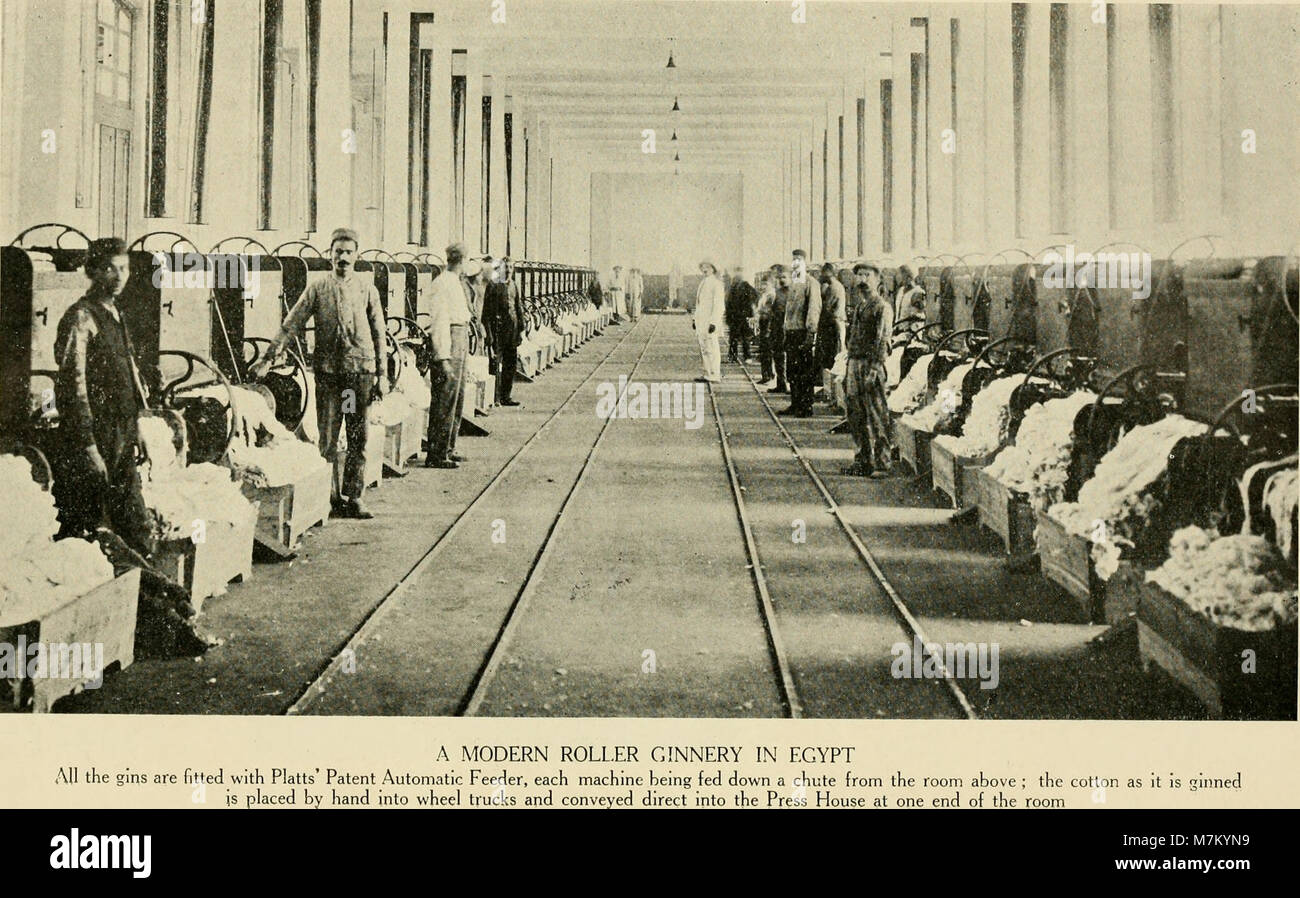 Ein Bericht über die Reise der Internationalen Baumwollmission durch Brasilien, in dem der Baumwollanbau und die Baumwollindustrie in São Paulo, Minas Gerais, Bahia und anderen bundesstaaten detailliert dokumentiert werden. Stockfoto