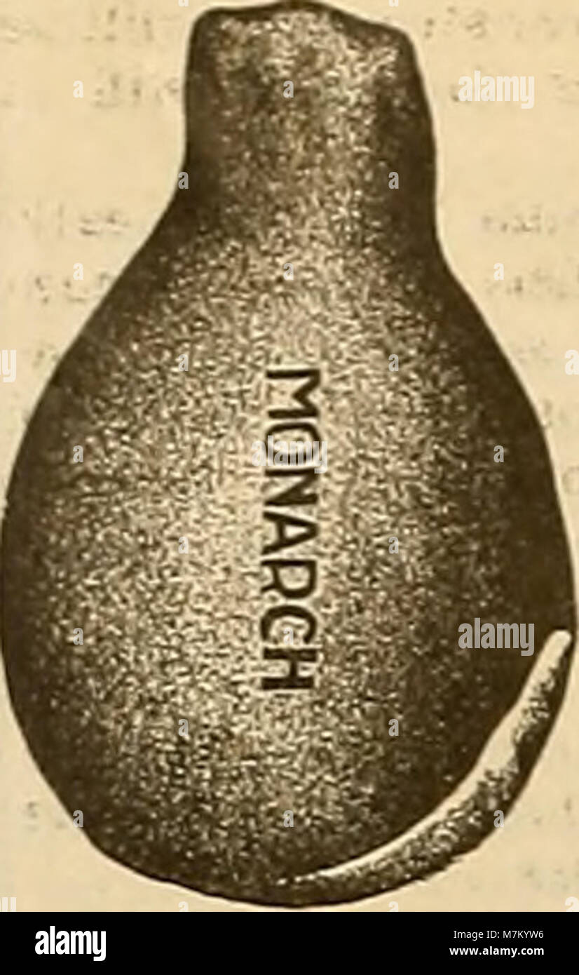 Ein Archivfoto aus dem Jahr 1904, das einen Züchter und Sportler zeigt und die Interessen des frühen 20. Jahrhunderts in Landwirtschaft, Tierhaltung und Freizeitsport festlegt. Stockfoto