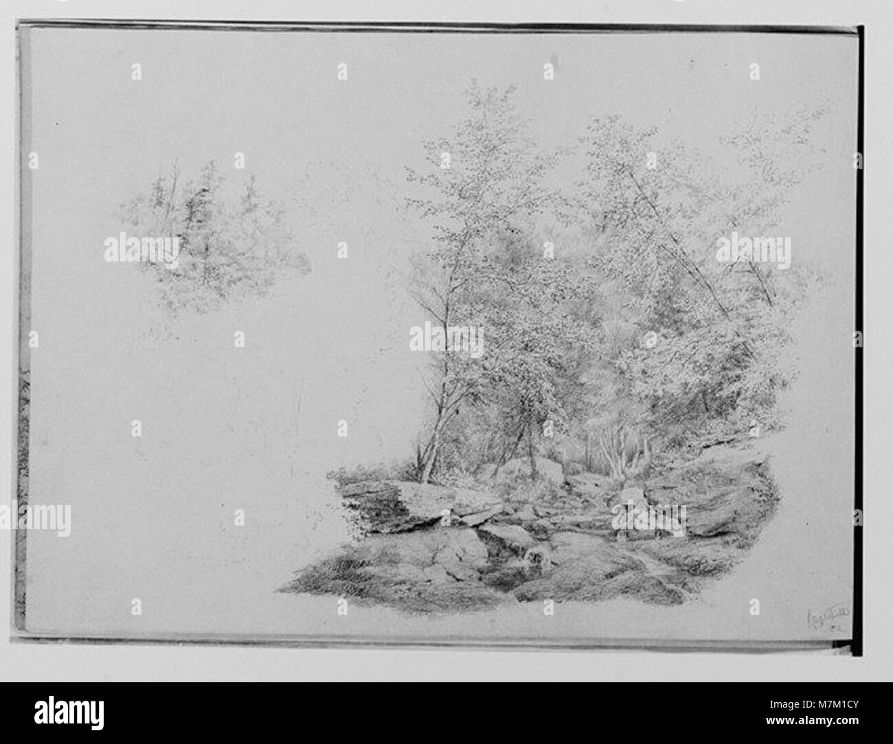 Diese Skizze „A Forest Stream“ von 1864 von einem unbekannten Künstler zeigt eine natürliche Waldszene in den Catskills. Die Zeichnung fängt das Wesen der Landschaft ein und betont die Ruhe der Natur. Stockfoto