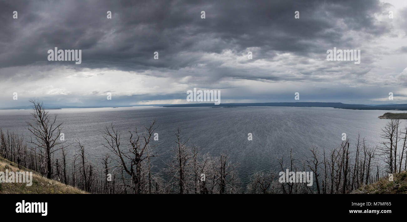 Yellowstone Lake aus Butte Lake Overlook Stockfoto