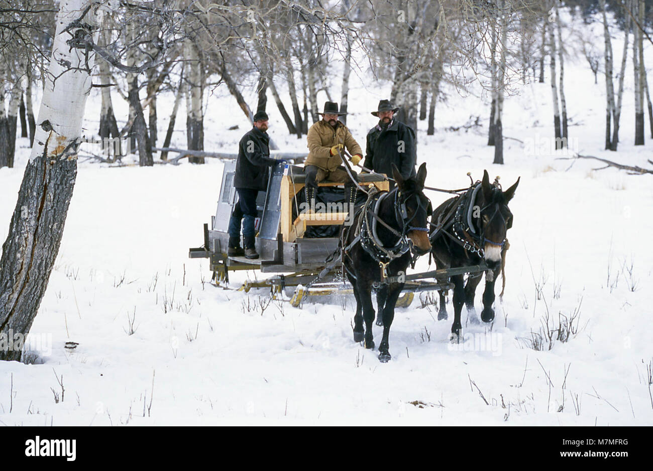Bobbahn mit Versandverpackung an Crystal Sitzbank mit Mark Johnson Bobbahn mit Versandverpackung an Crystal Sitzbank mit Mark Johnson (links), Bob Blackwell, und Wally Weine (rechts); Stockfoto