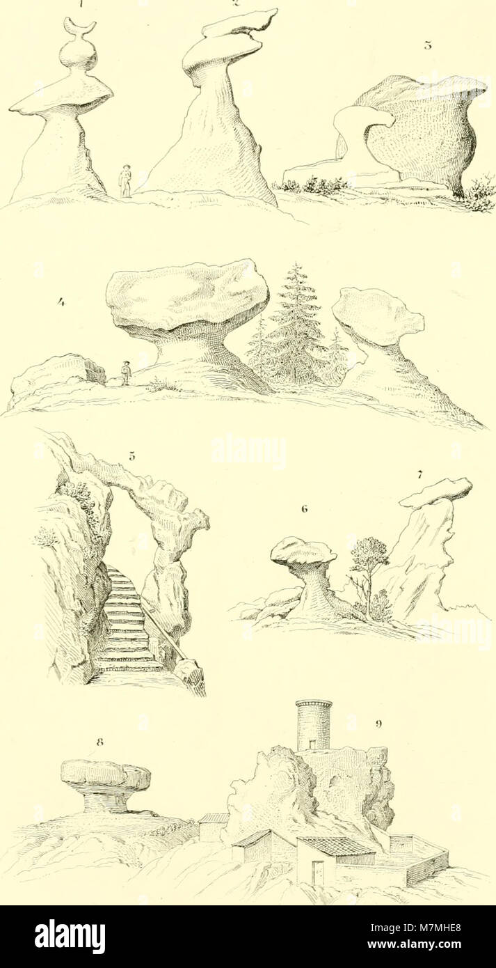 Anales de la Sociedad Española de Historia Natural (1875) (18162430962) Stockfoto