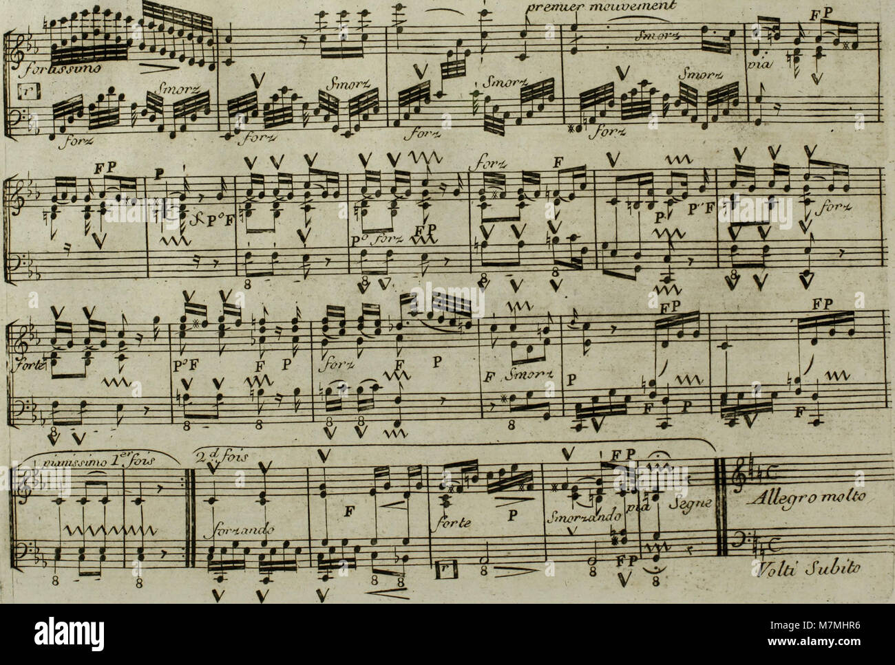 Ein musikalisches Arrangement von Haydns Andante aus dem Jahr 1795, komponiert für Harfe mit optionaler Violinbegleitung, das die Eleganz und harmonische Balance des klassischen Stils des späten 18. Jahrhunderts widerspiegelt. Stockfoto