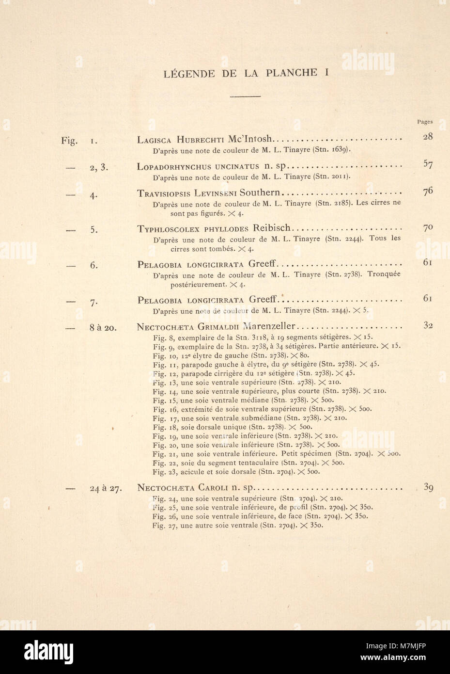 Diese 1916 erschienene Publikation dokumentiert pelagische Polychaeten-Anneliden, die während ozeanographischer Expeditionen der Yachten Hirondelle und Princesse-Alice zwischen 1885 und 1910 gesammelt wurden, und beschreibt Meereswurmarten. Stockfoto