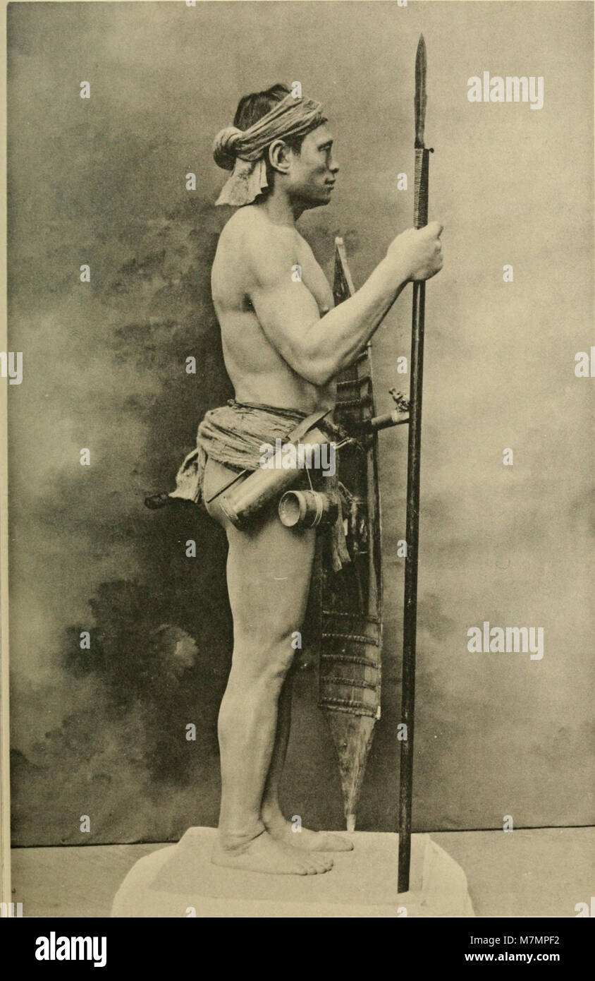 Jahresbericht des Direktors in das Kuratorium für das Jahr...' (1907-1943) (18741319944) Stockfoto