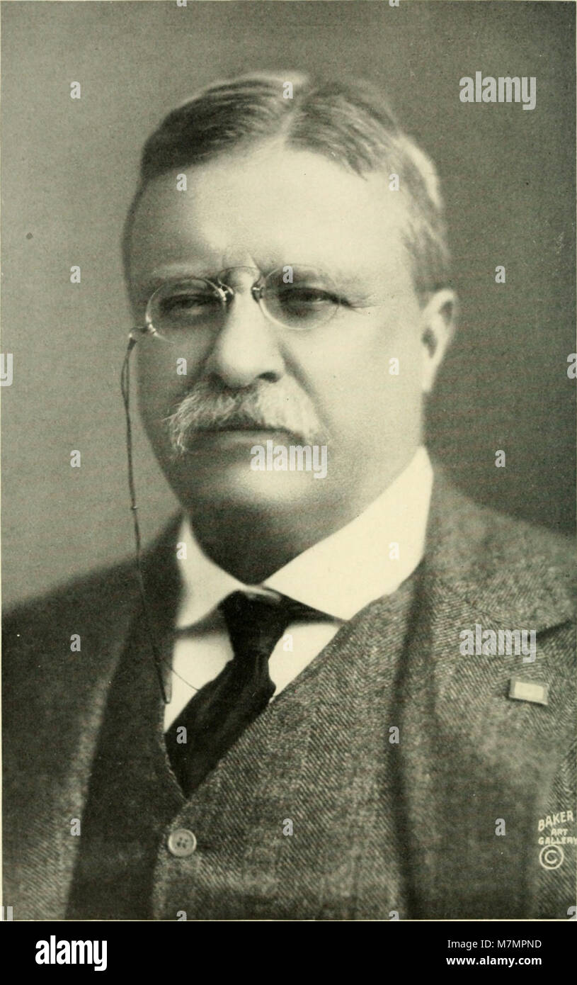 Jahresbericht des Direktors in das Kuratorium für das Jahr...' (1907-1943) (19357644942) Stockfoto