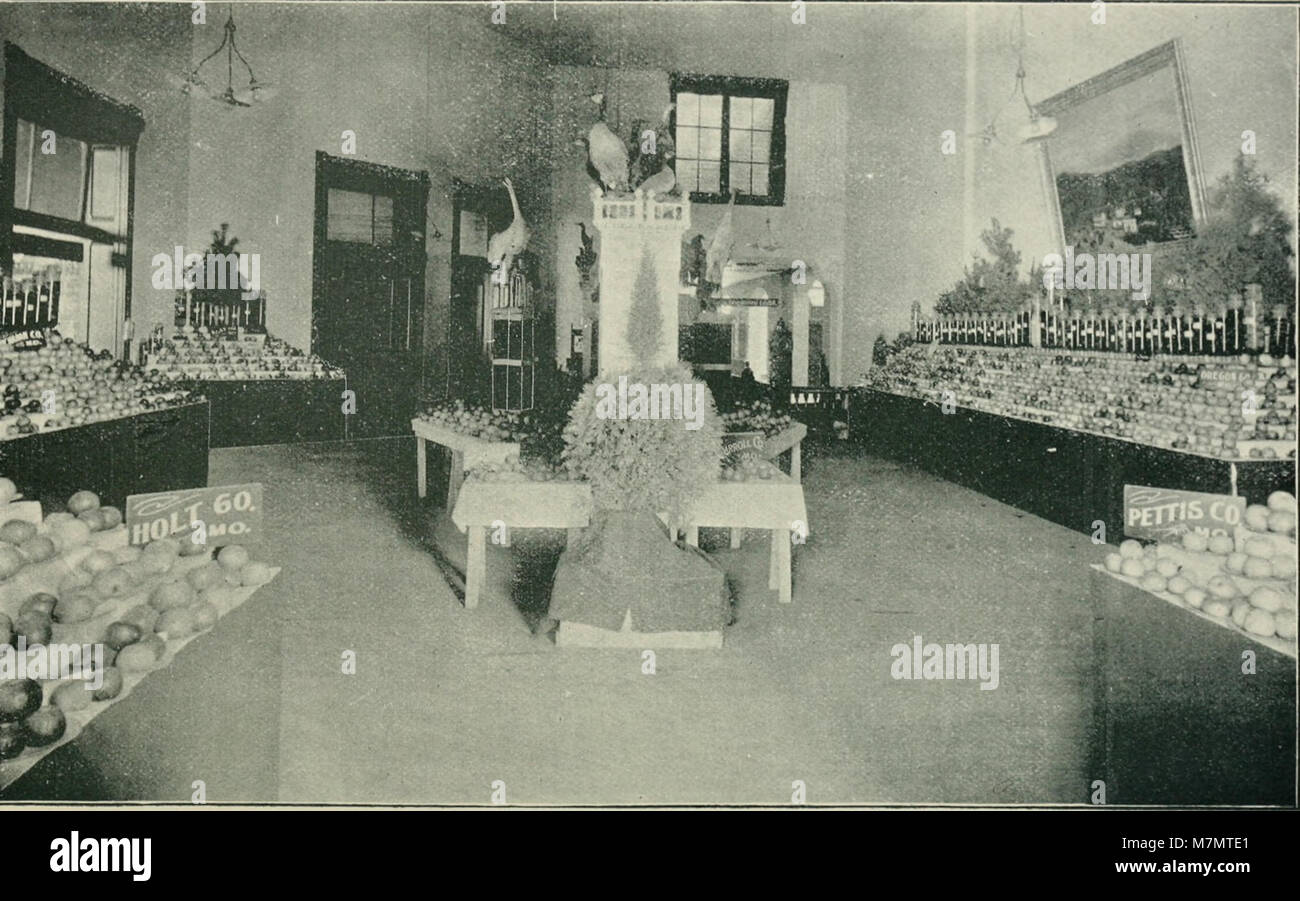 Der Jahresbericht 1894–1907 der State Horticultural Society of Missouri dokumentiert garticultural Trends, landwirtschaftliche Entwicklungen und regionale landwirtschaftliche Praktiken im späten 19. Und frühen 20. Jahrhundert. Stockfoto