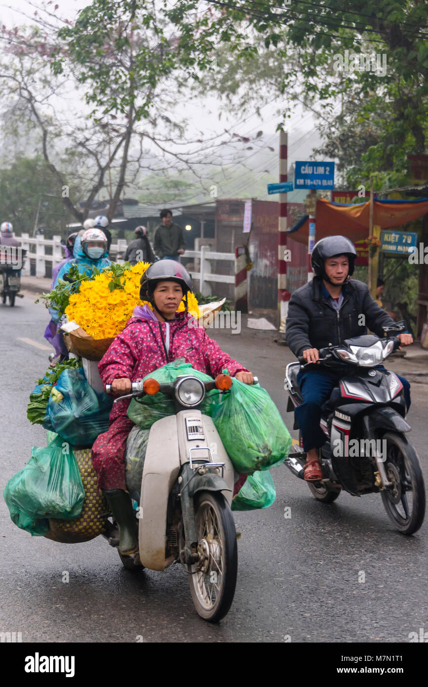 Eine Frau trägt schwere Taschen von Obst, Gemüse und Blumen auf der Rückseite ihrer Roller in Hue, Vietnam. Stockfoto