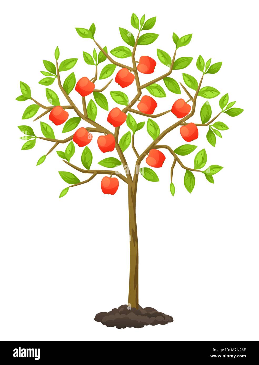 Frucht Baum mit Äpfeln. Abbildung für landwirtschaftliche Broschüren, Flyer Garten Stock Vektor