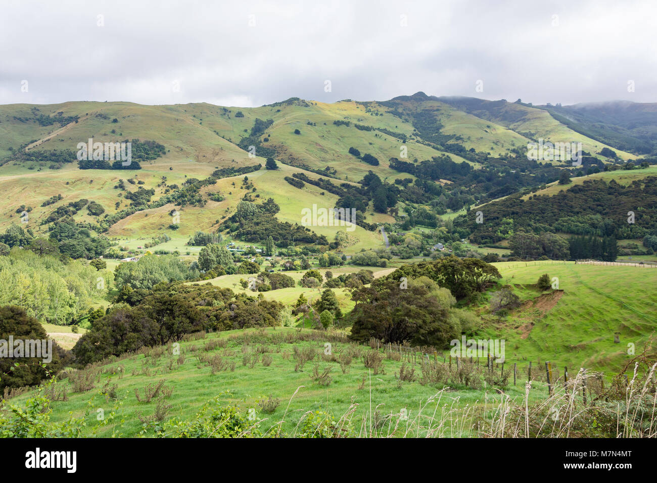 Hügelige Landschaft von Summit Road, Little River, Banken Halbinsel, Region Canterbury, Neuseeland Stockfoto