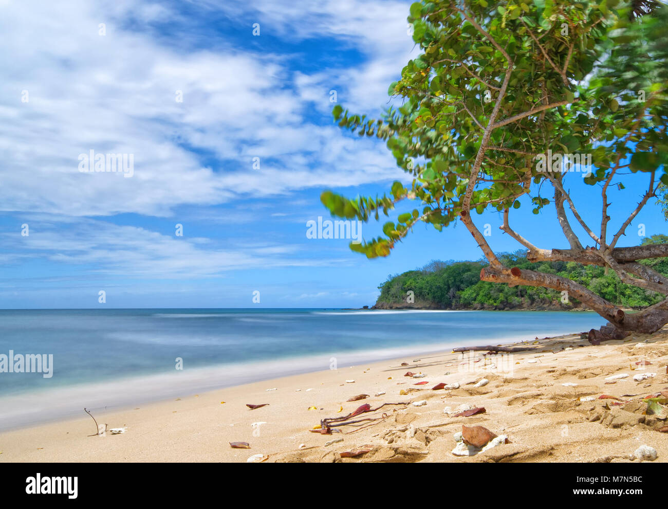Republik Trinidad und Tobago - Tobago Insel - Mount Irvine Bay - tropischen Strand der Karibik Stockfoto