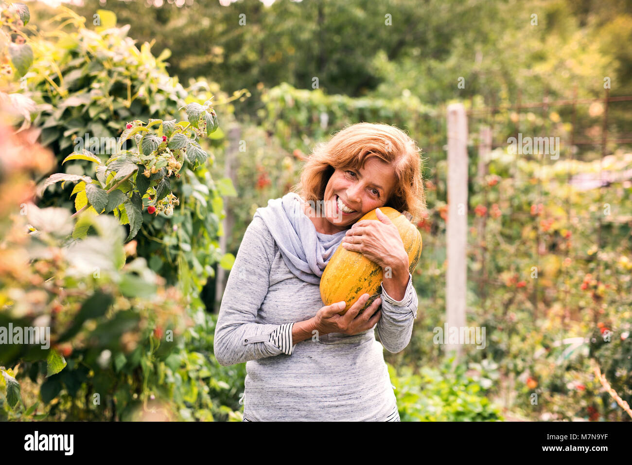 Ältere Frau im Garten Im Garten im Hinterhof. Stockfoto