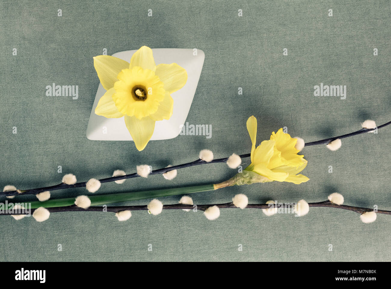 Der Frühling noch Leben mit palmkätzchen und Narzissen Stockfoto