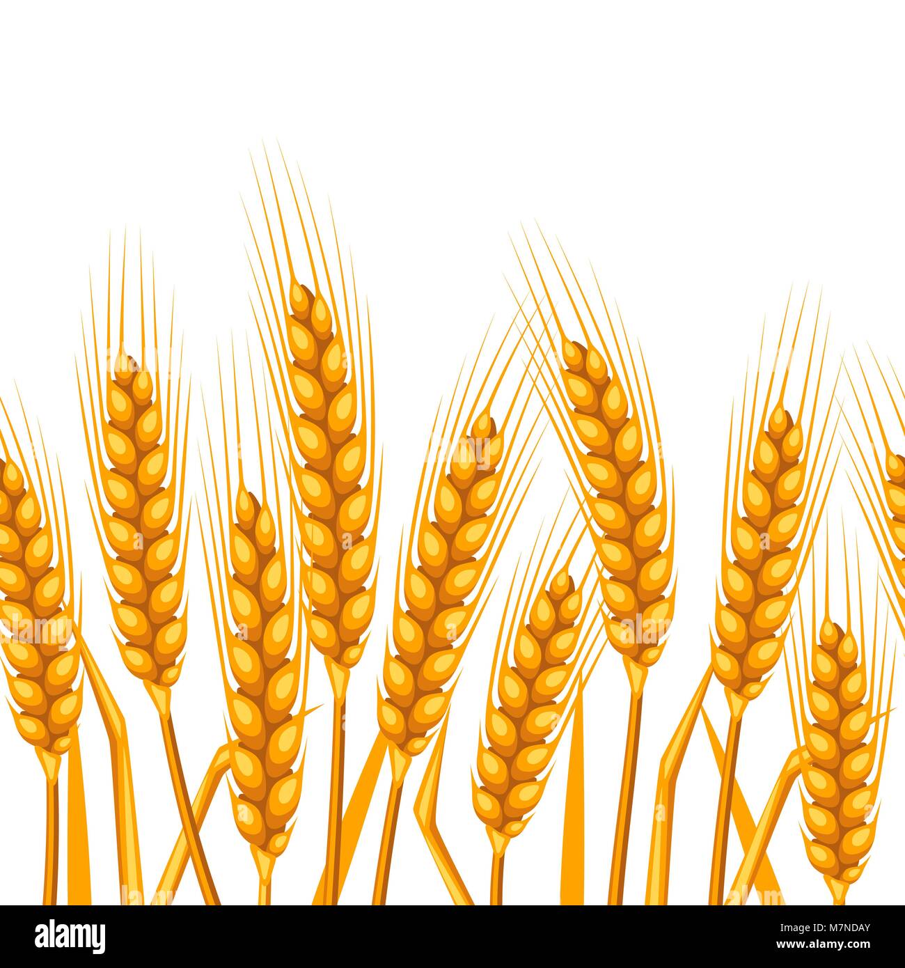 Nahtlose Muster mit Weizen. Landwirtschaftliche Bild natürliche Golden Ears von Gerste oder Roggen. Einfach für Hintergrund, Textil, Verpackung Papier, Tapeten Stock Vektor