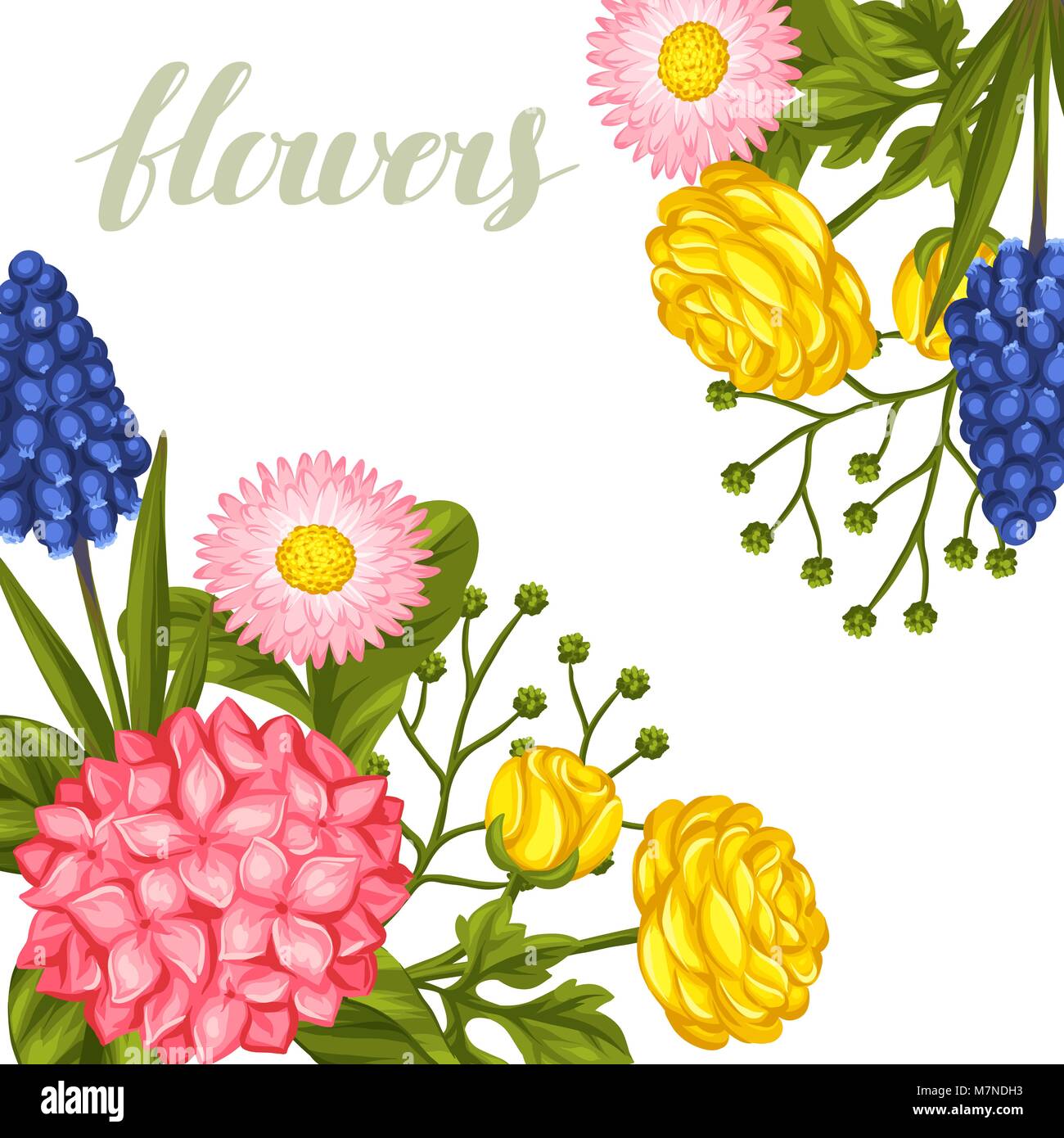 Einladungskarte mit Garten Blumen. Dekorative Hortense, Ranunkeln, muscari und Marguerite. Bild für Hochzeitseinladungen, romantische Karten, Poster Stock Vektor