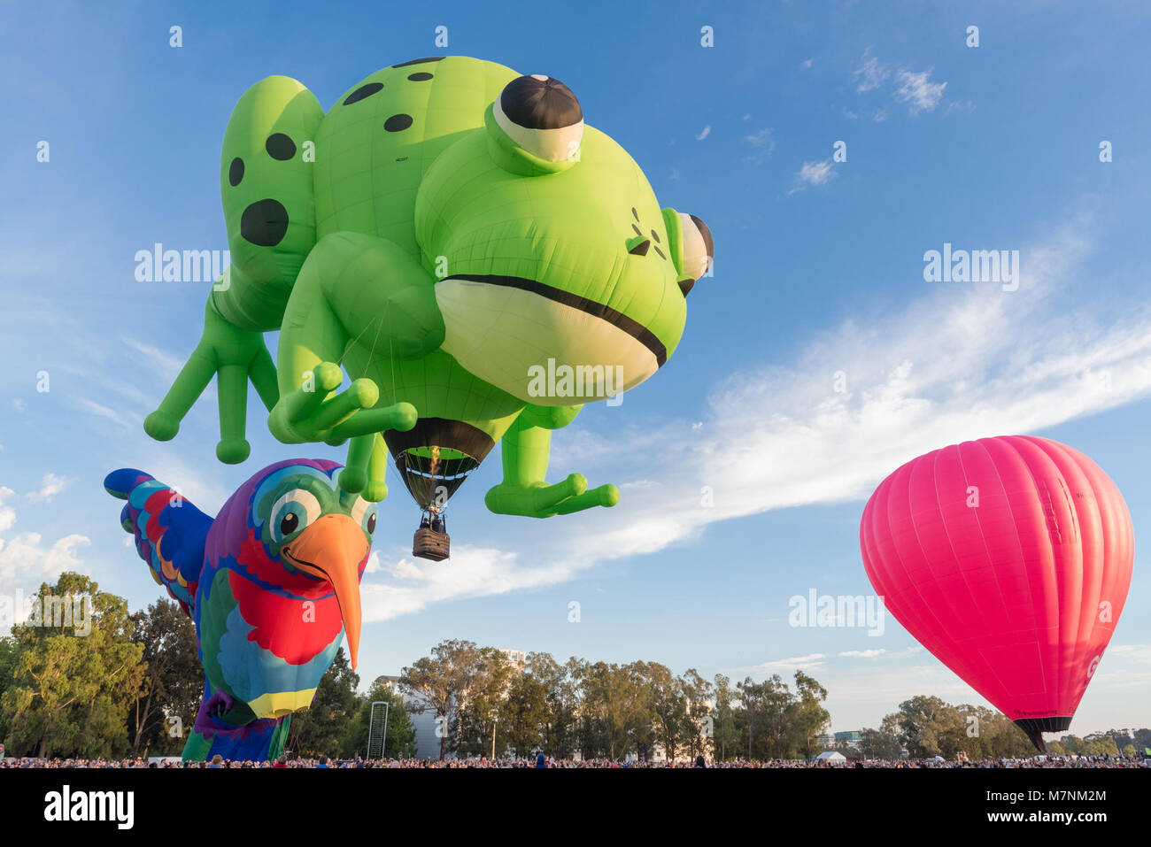 Canberra, Australien, 12. März 2018. Hot Air Balloon Festival in Canberra. Der Frosch Kermie ist ein Heißluftballon am Ballonfahren Ereignis in Canberra, die für neun Tage läuft. Kermie hatte keine Mühe, die Inflation, die für Acroos der Lake Burley Griffin. Sam Nerrie/Alamy Leben Nachrichten. Stockfoto