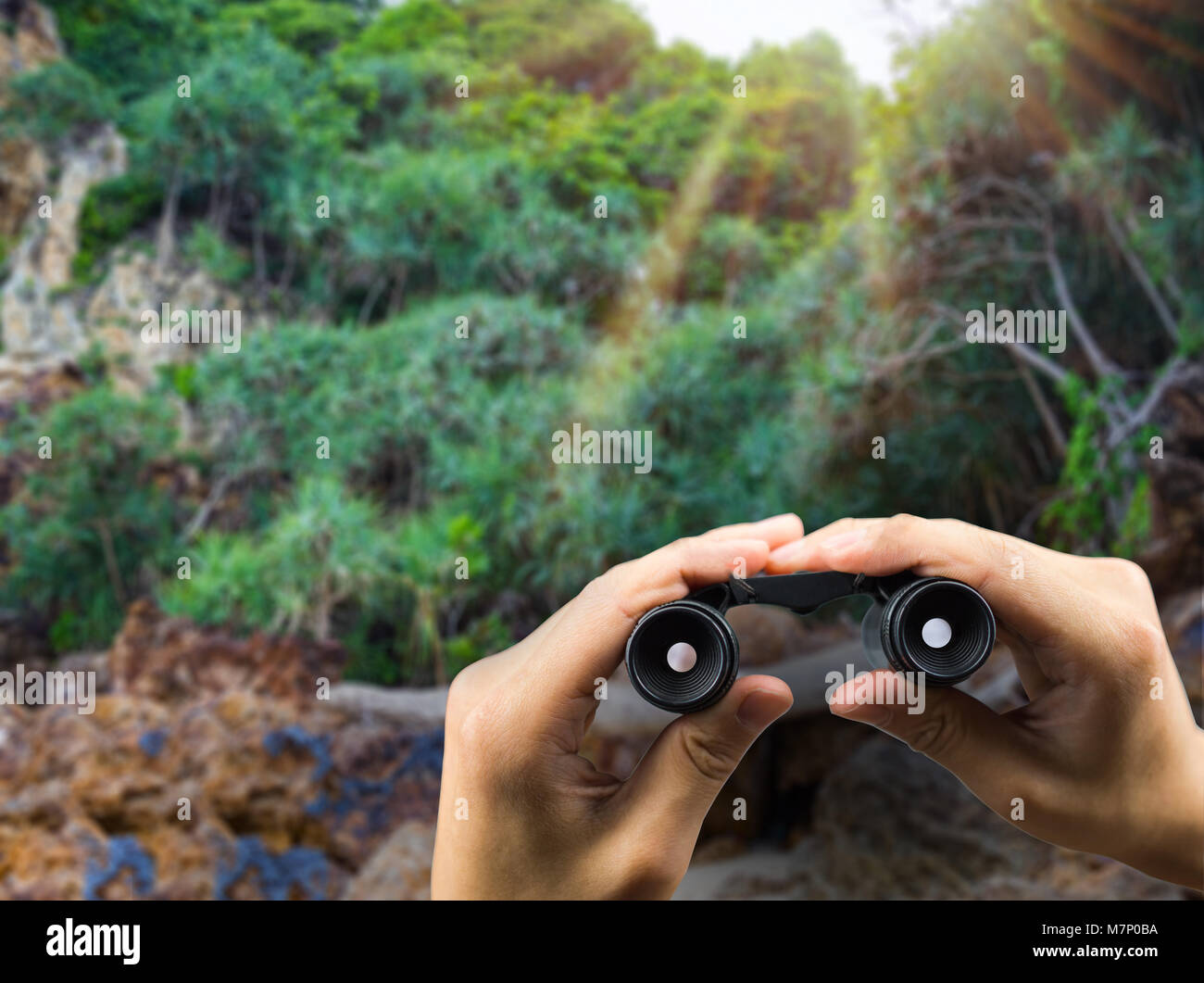 Fernglas zur Hand Holding mit exotischen Wald mit Sonnenlicht Stockfoto