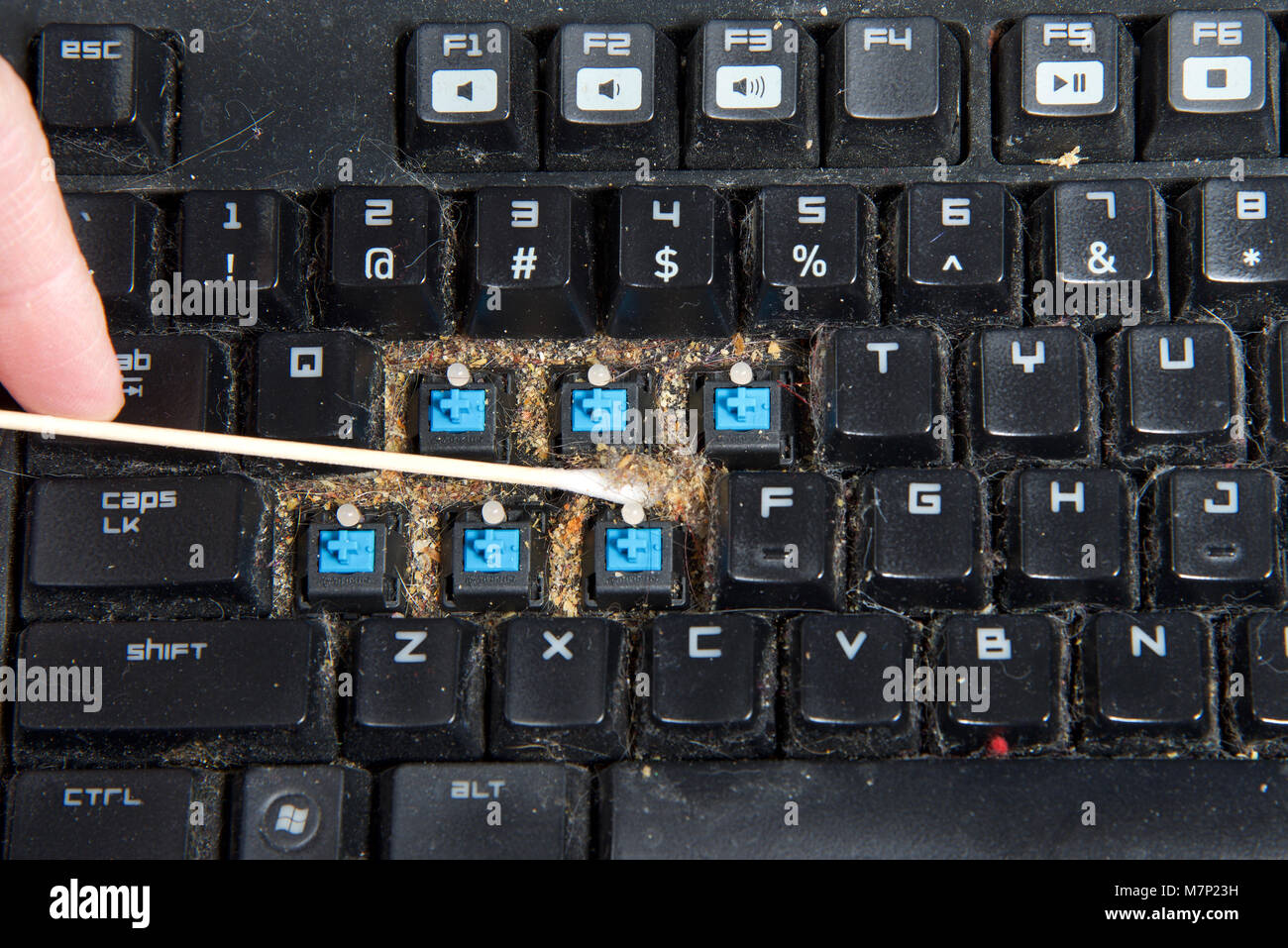 Close up filthy Computer Tastatur mit ein paar Tasten entfernt, Reinigung Schmutz, dass unter Tasten mit langen wattestäbchen gesammelt hat. Tastaturen können cl geworden Stockfoto