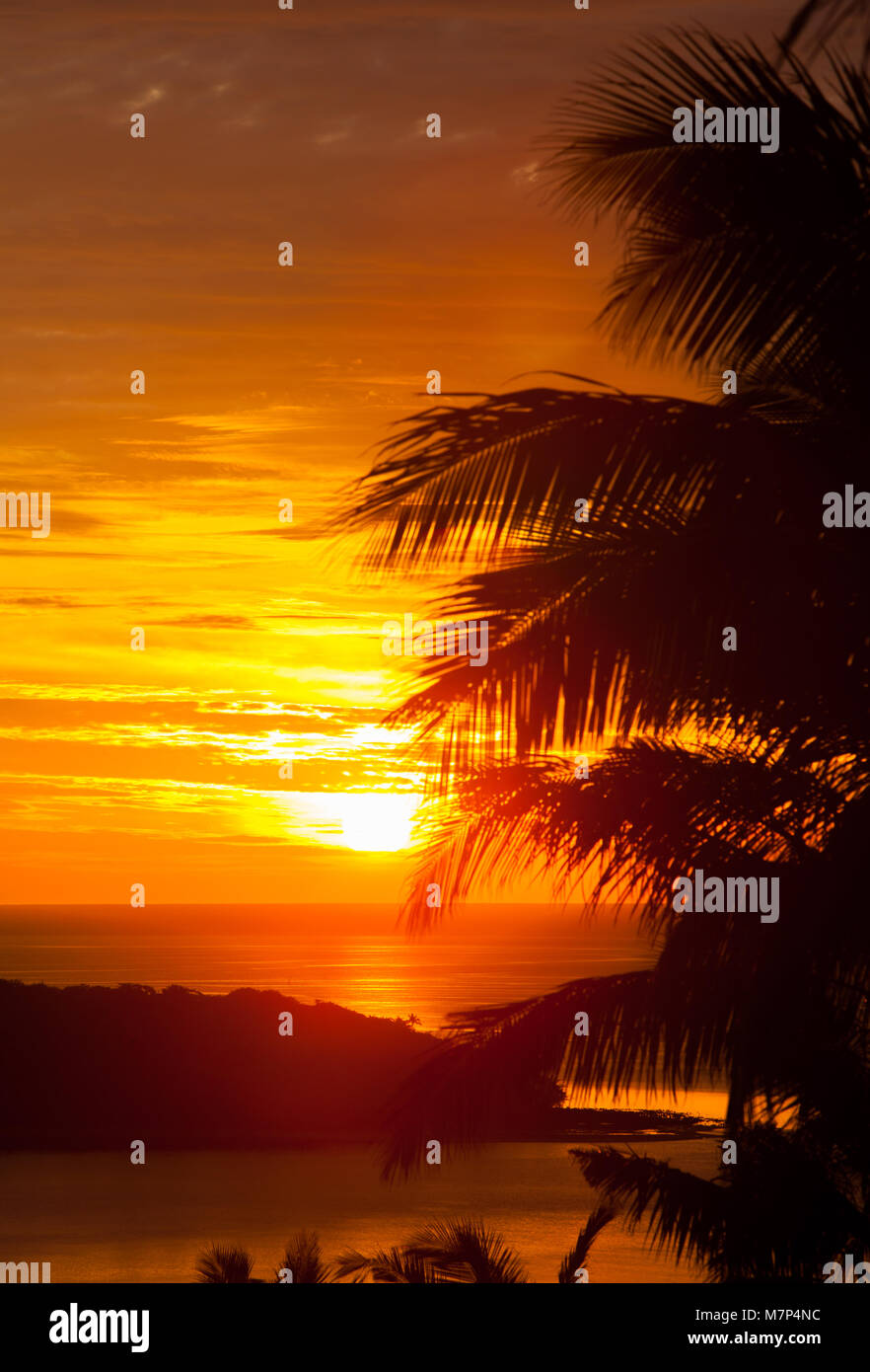 Sonnenaufgang über dem Atlantik auf tropischen Inseln Fidschi. Sehr warm, mit Kokospalmen im Vordergrund. Stockfoto