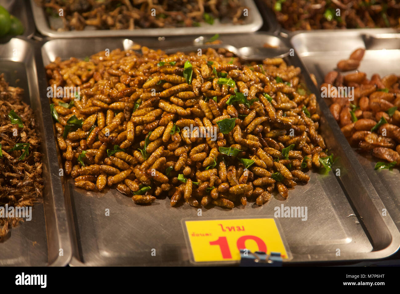 Insekten und Wanzen für Verkauf auf ein thailändisches Essen zu einem Jahrmarkt, Phuket, Thailand ausgeht, Stockfoto