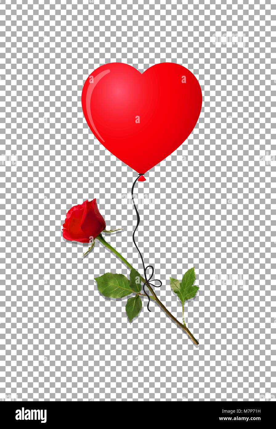 Lange stiel rote rosen Stock-Vektorgrafiken kaufen - Alamy