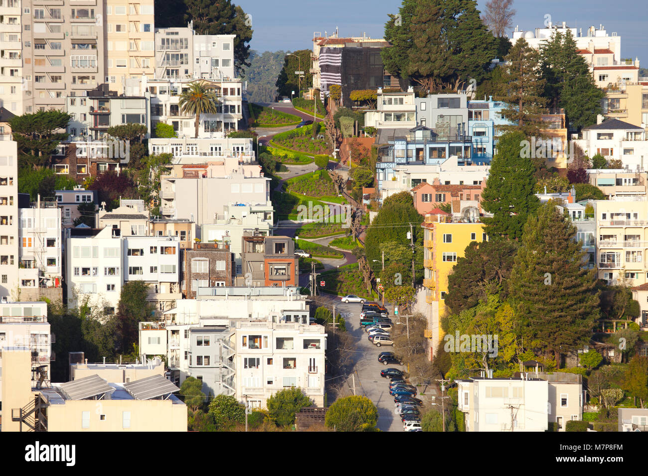 Lombard Street in Russian Hill, San Francisco, Kalifornien, USA Stockfoto