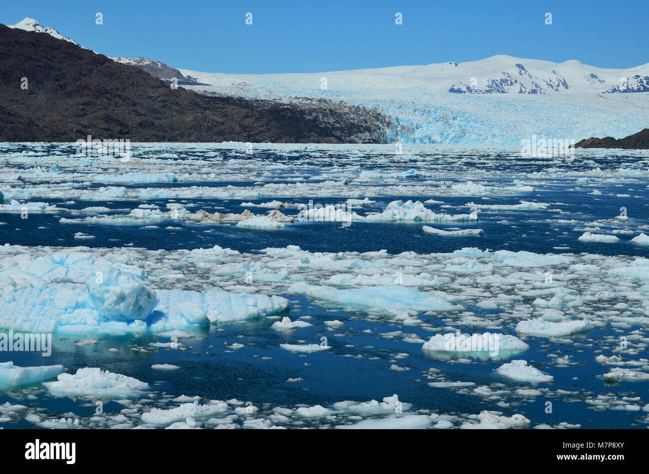 Steffen Gletscher in Campo de Hielo Sur (südliche patagonische Eisfeld), chilenischen Patagonien Stockfoto