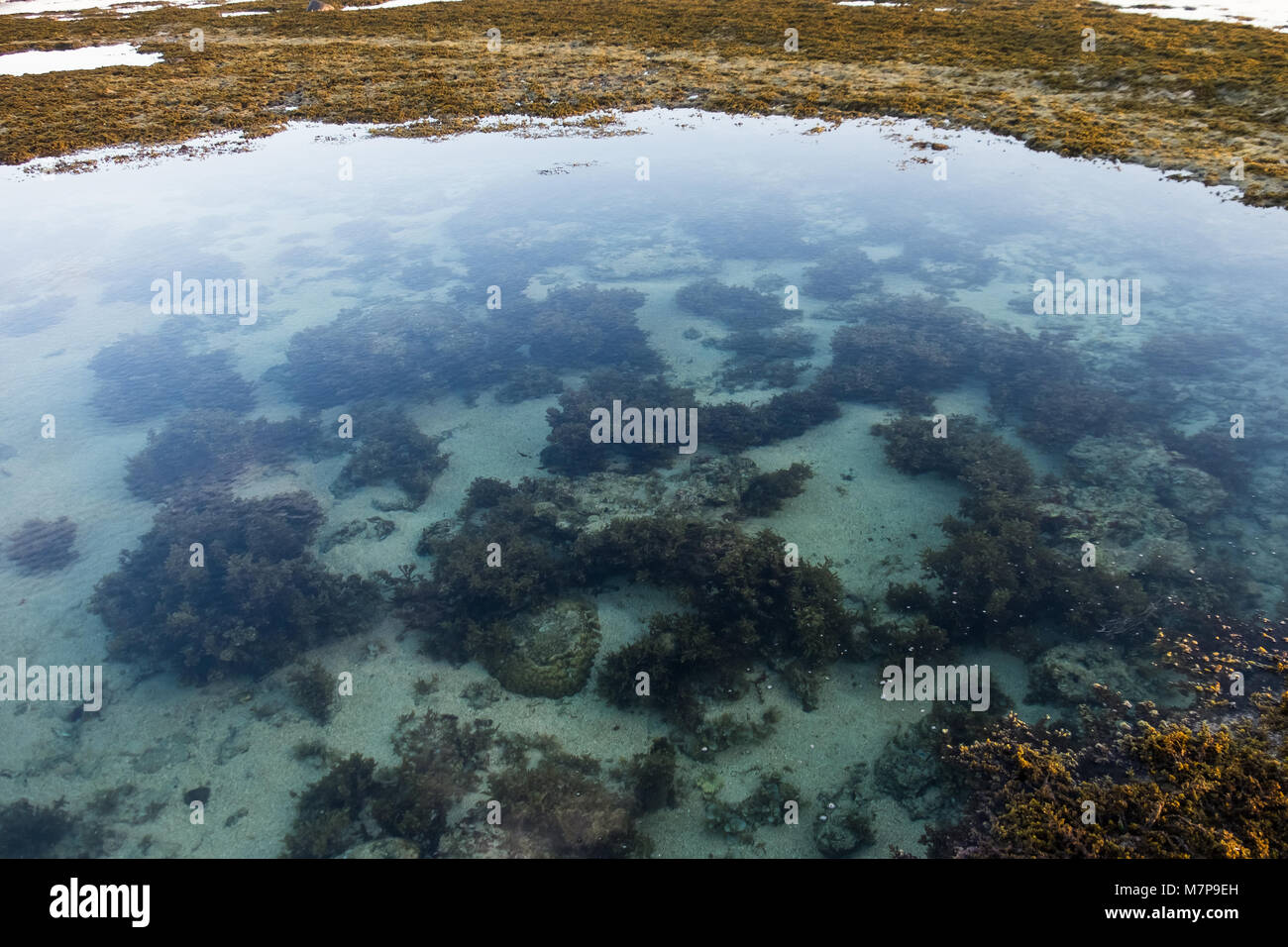 Natural Reef Pools in Lakey Peak, Sumbawa Stockfoto