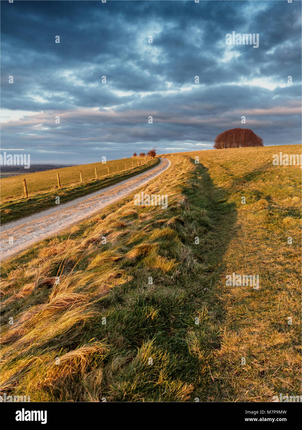 Win Grün, Dorset. Win Green, dem höchsten Punkt der Cranborne Chase, bietet einen Panoramablick über das Tal von wardour. Stockfoto