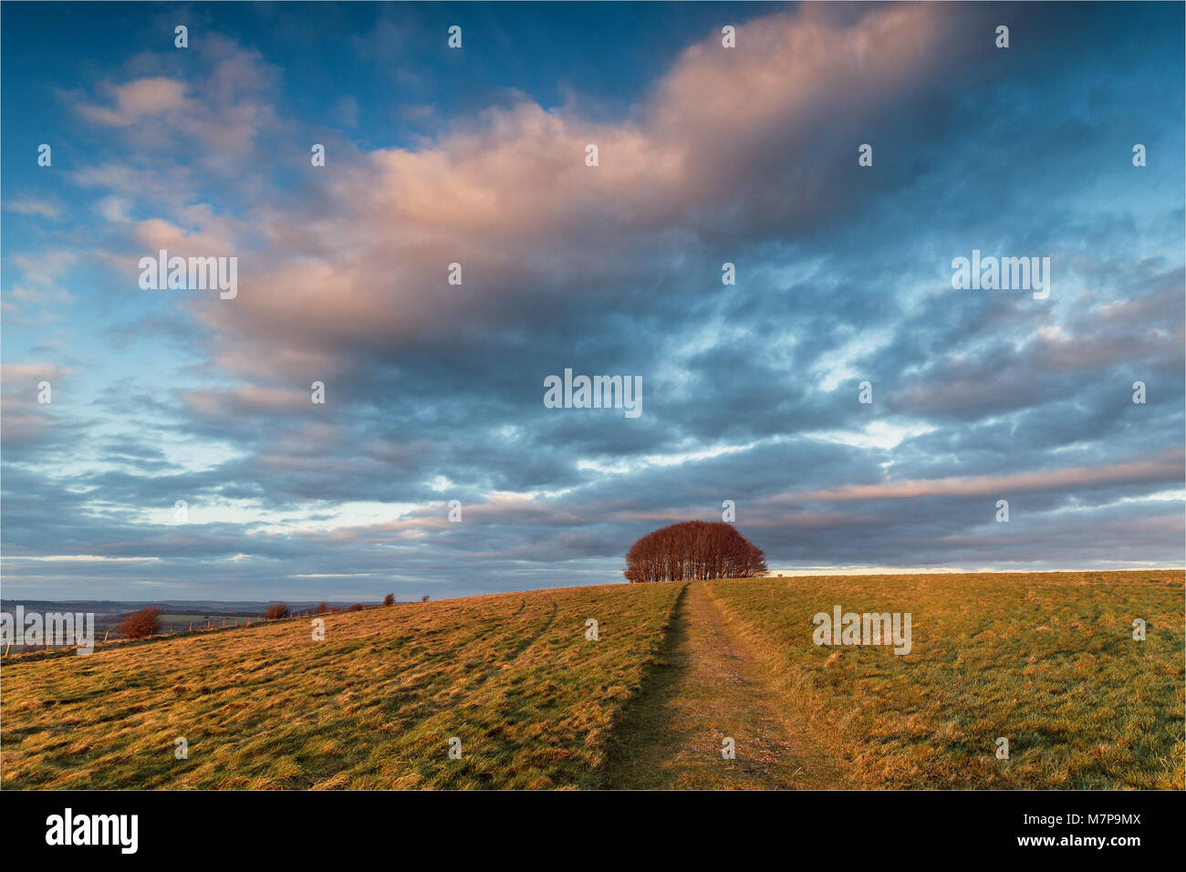 Win Grün, Dorset. Win Green, dem höchsten Punkt der Cranborne Chase, bietet einen Panoramablick über das Tal von wardour. Stockfoto